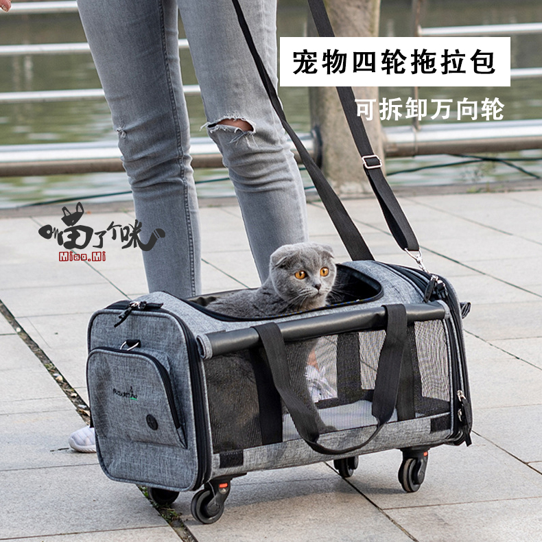 猫咪外出便携包宠物拉杆箱狗狗出门携带包透明透气背包袋夏季大号