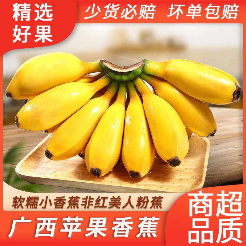 现摘广西小米蕉当季新鲜水果10斤整箱自然熟包邮苹果蕉香蕉粉蕉