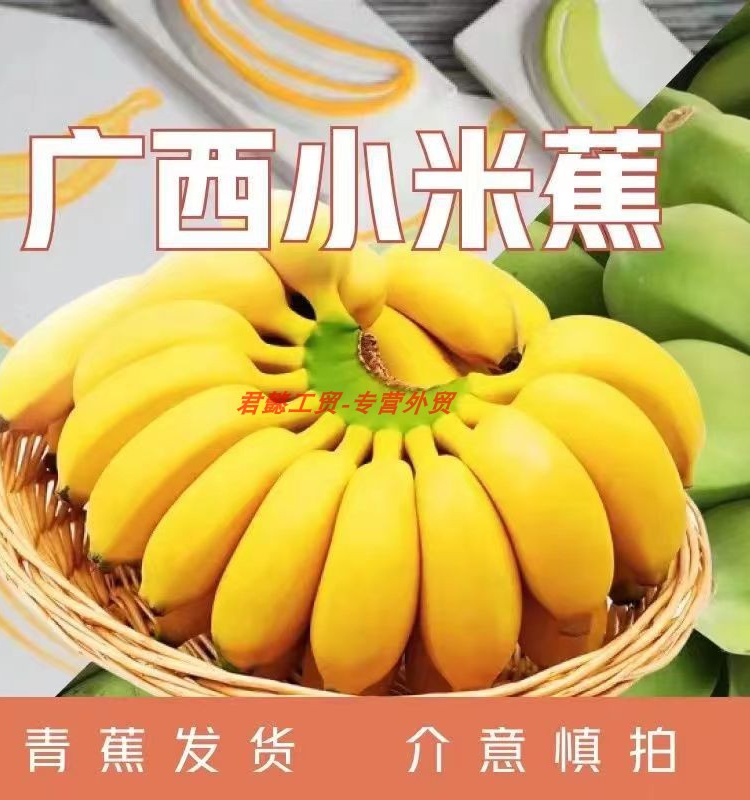 广西新鲜小米蕉拇指蕉当季水果酸甜小香蕉鸡蕉自然熟整箱