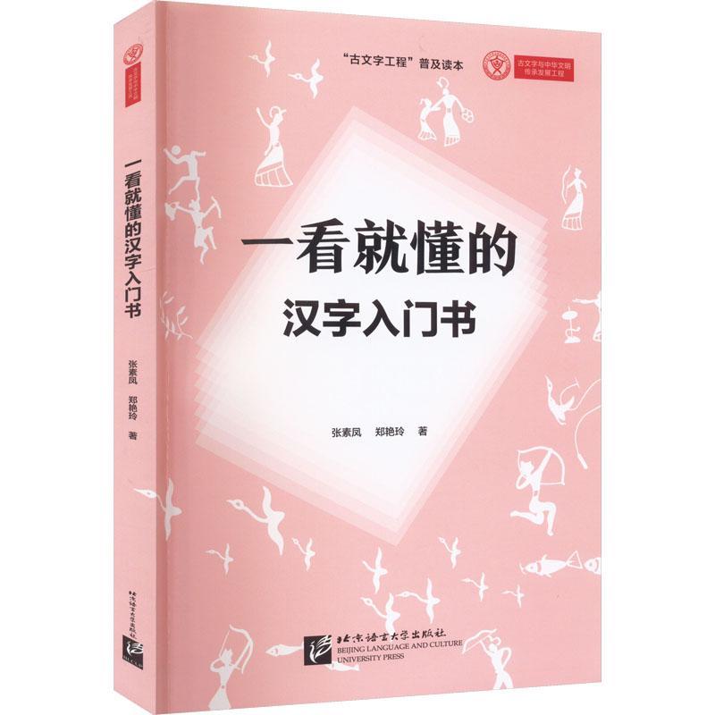 RT69包邮 一看懂的汉字入门书北京语言大学出版社社会科学图书书籍