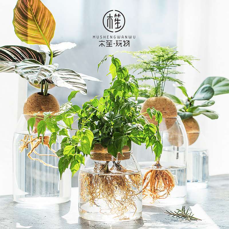 花瓶摆件创意简约日式玩物可爱木艺术玻璃水培植物花插透明花器笙