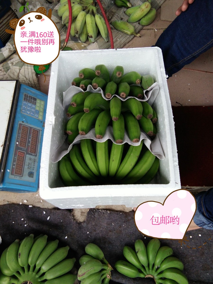 广西农家2无公害水果新鲜banana香甜香蕉净重9斤现摘无催熟剂包邮