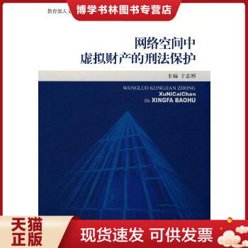 正版现货9787811393002网络空间中虚拟财产的刑法保护  于志刚主编  中国人民公安大学出版社