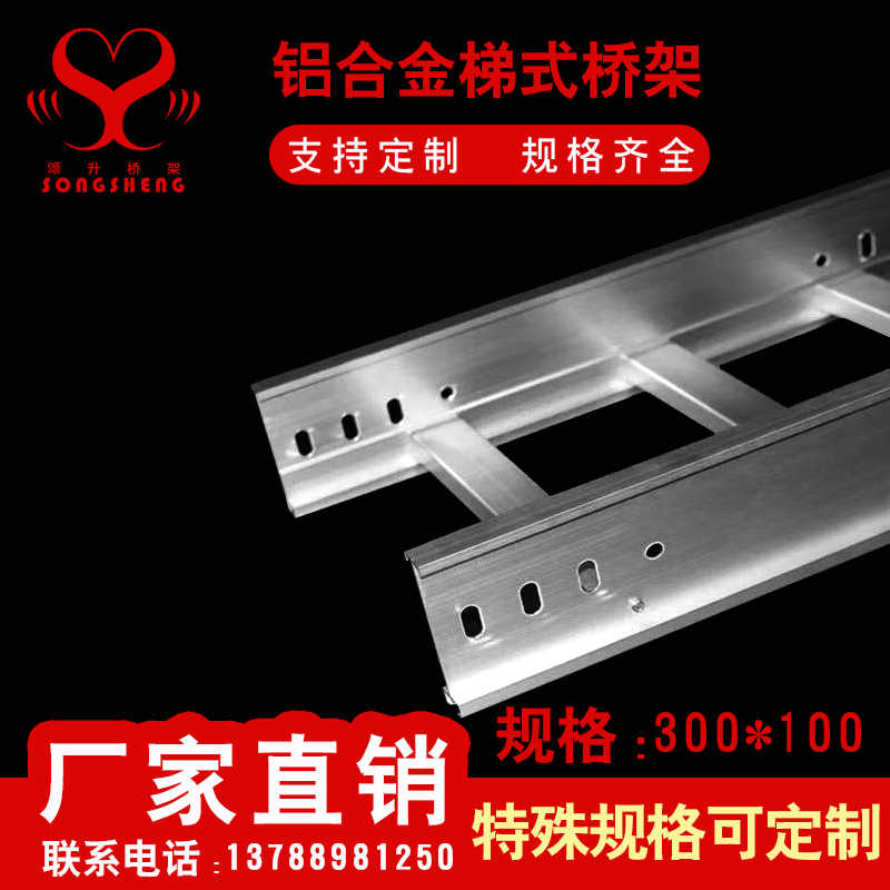 上海铝合金桥架不锈钢镀锌梯式槽式大跨距喷塑热浸锌桥架线槽盖板