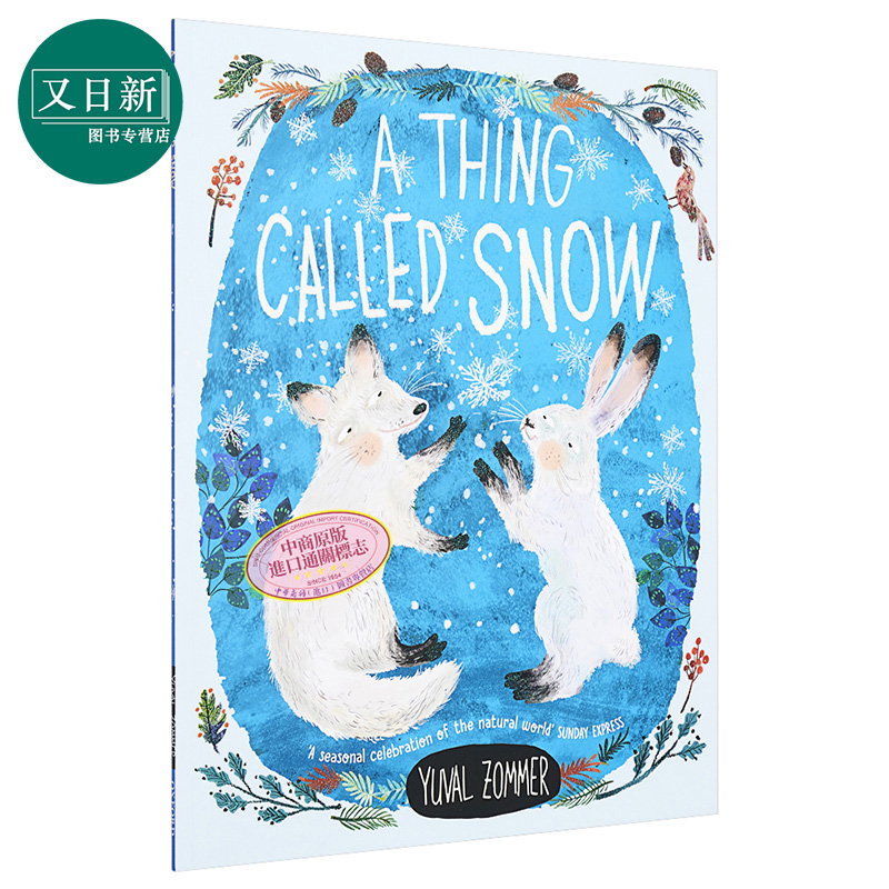 Yuval Zommer一种叫做雪的东西 A Thing Called Snow 英文原版进口 儿童绘本故事图画书 英国牛津大学出版社读物