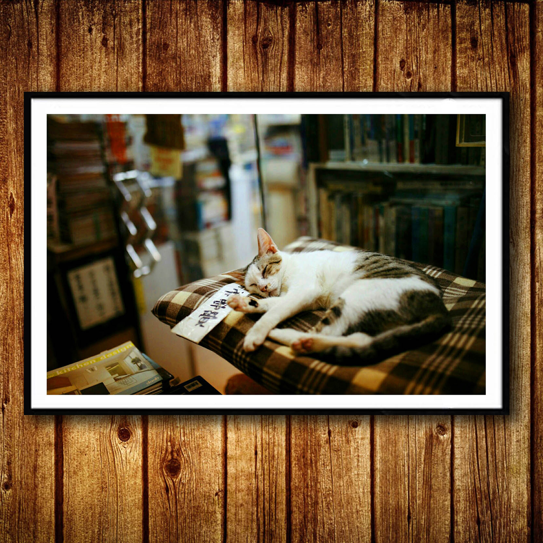 书店小猫装饰画动物清新日式可爱咖啡店书房有框文艺卧室壁挂墙画