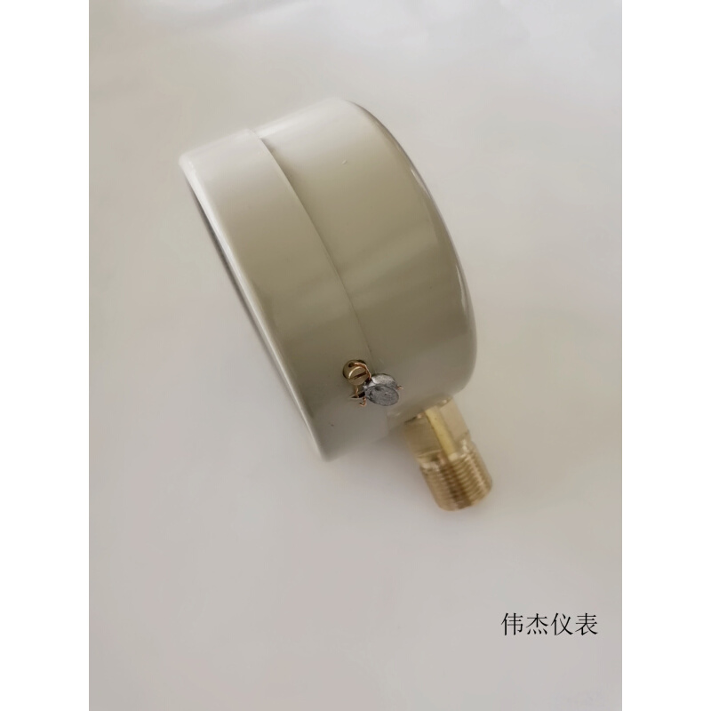 上海本都YE100膜盒压力表微压表千帕低压天然气气压表 0-10KPA