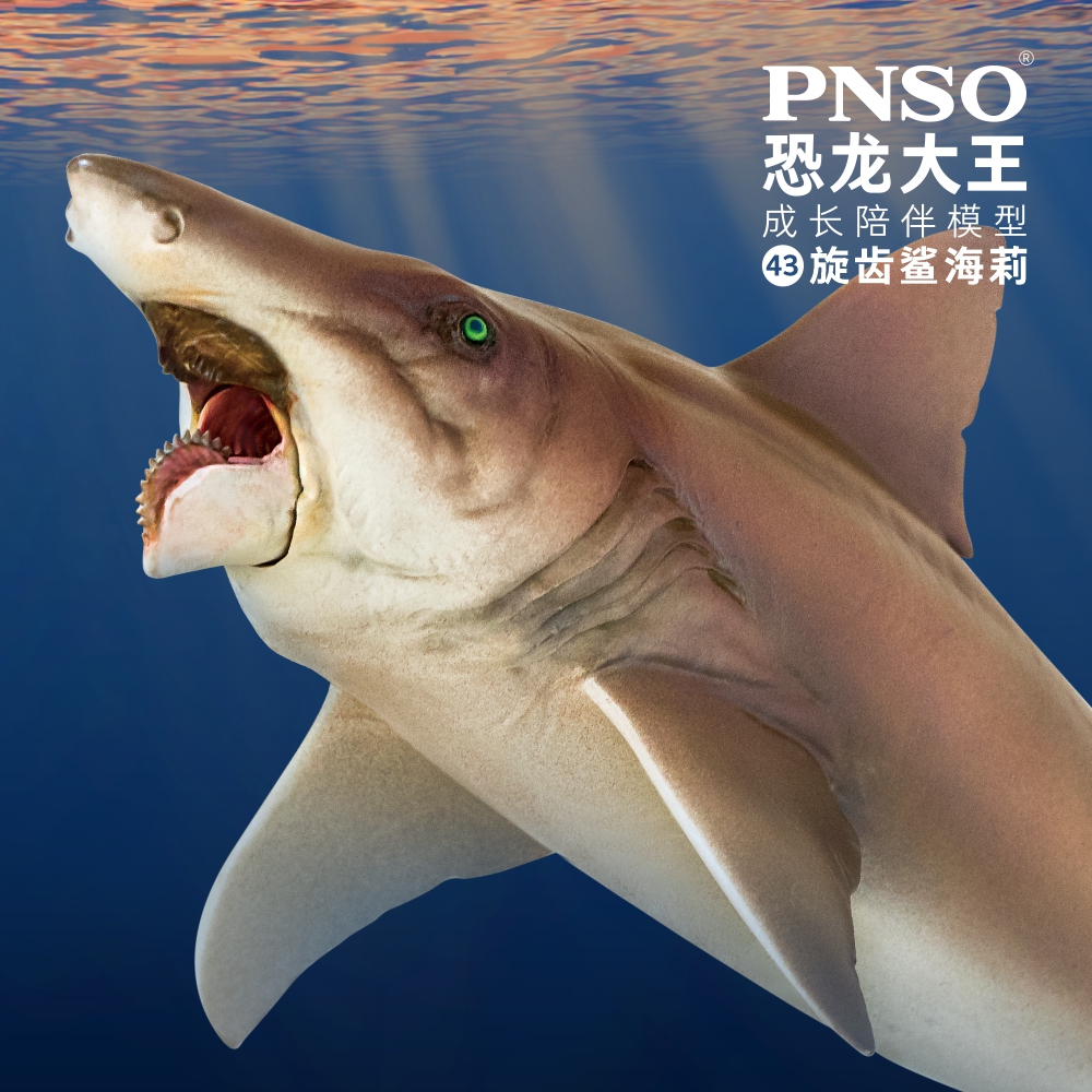 PNSO旋齿鲨海莉恐龙大王成长陪伴模型43