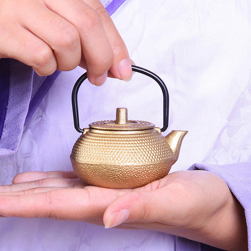 迷你茶宠小铁壶水壶小容量铸铁壶袖珍小茶壶茶玩功夫茶艺摆件玩具