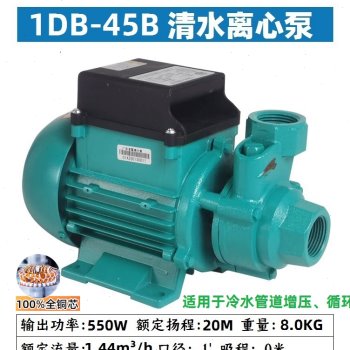 推荐新品爆广东清水泵家用自吸泵高扬程C220V自来水管道自动增压