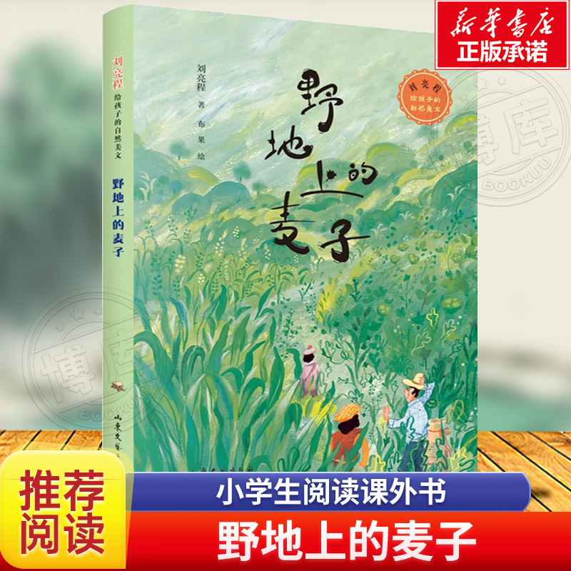 野地上的麦子 刘亮程给孩子的自然美文 2023暑假读书活动 暑期阅读 山东文艺出版社