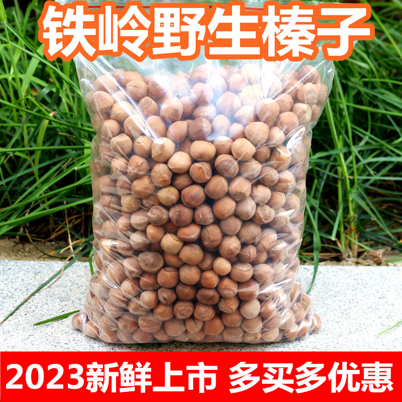 东北铁岭新鲜野生小榛子2023特产干果生榛子散装坚果生的榛子炒熟