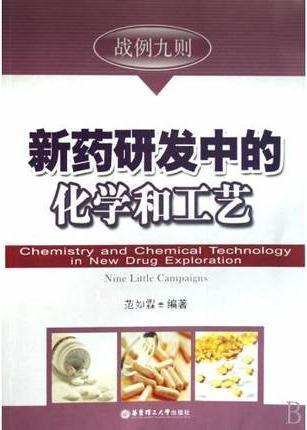 新药研发中的化学与工艺,范如霖著,华东理工大学出版社