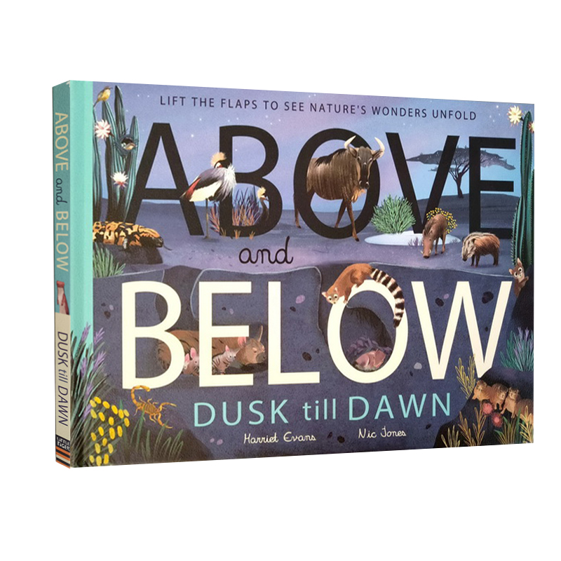 英文原版 A&B: Dusk till Dawn 神奇的地上和地下世界 黄昏至黎明 儿童科普趣味绘本 小老虎出版社