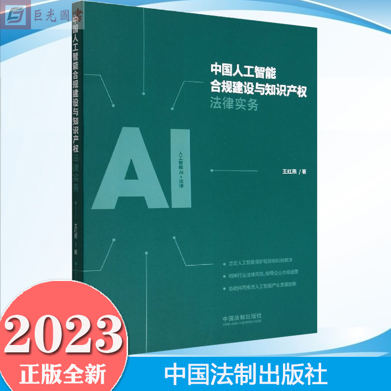 2023新书 中国人工智能合规建设与知识产权法律实务 中国法制出版社 9787521631975