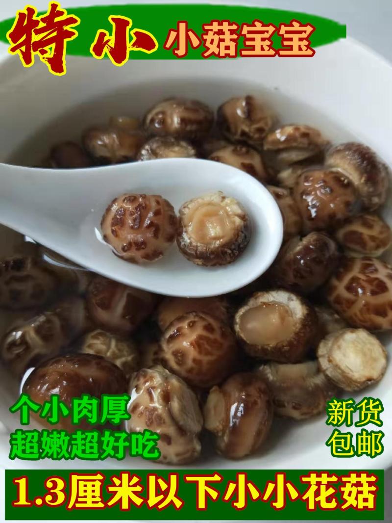 特小花菇500g包邮珍珠菇迷你小香菇1.3厘米以下剪脚蘑菇农家特产