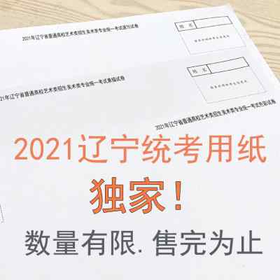 辽宁省2022年美术统考素描色彩速写联考水粉模拟考试卷用纸4K8K