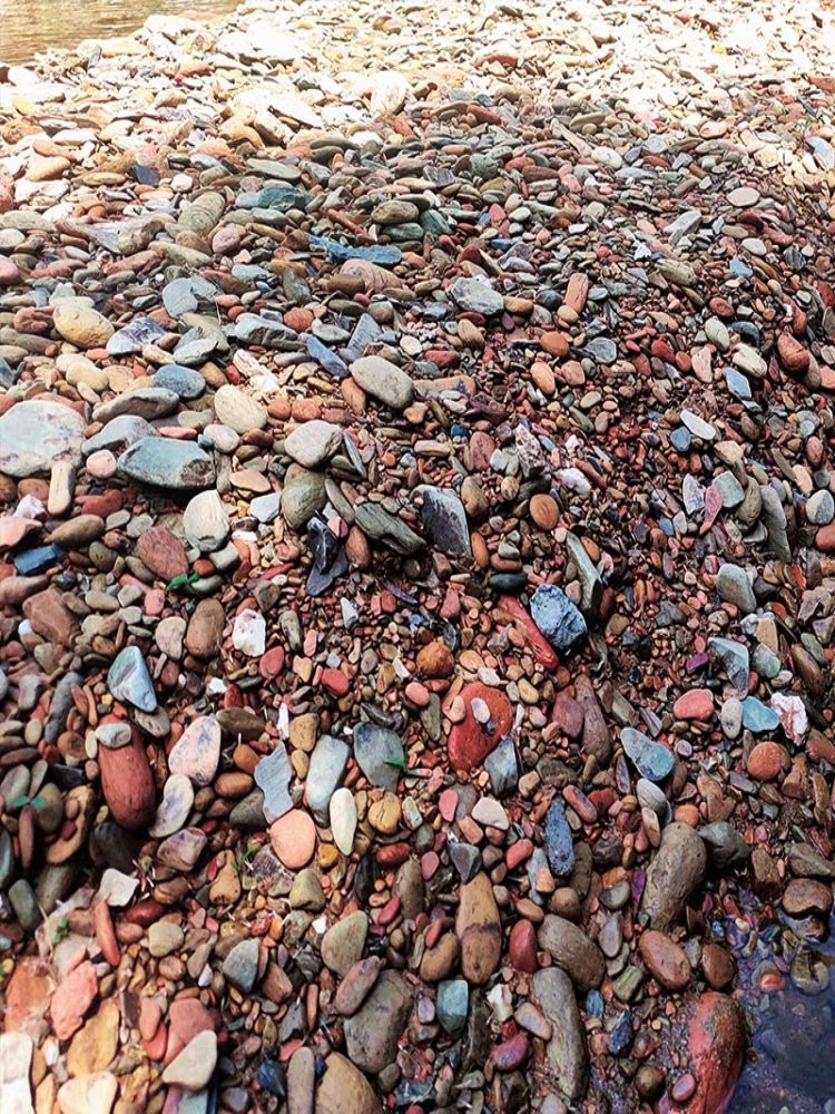 天津天然鹅卵石原生溪流石鱼缸造景铺底砂水箱装饰过滤造景小石子