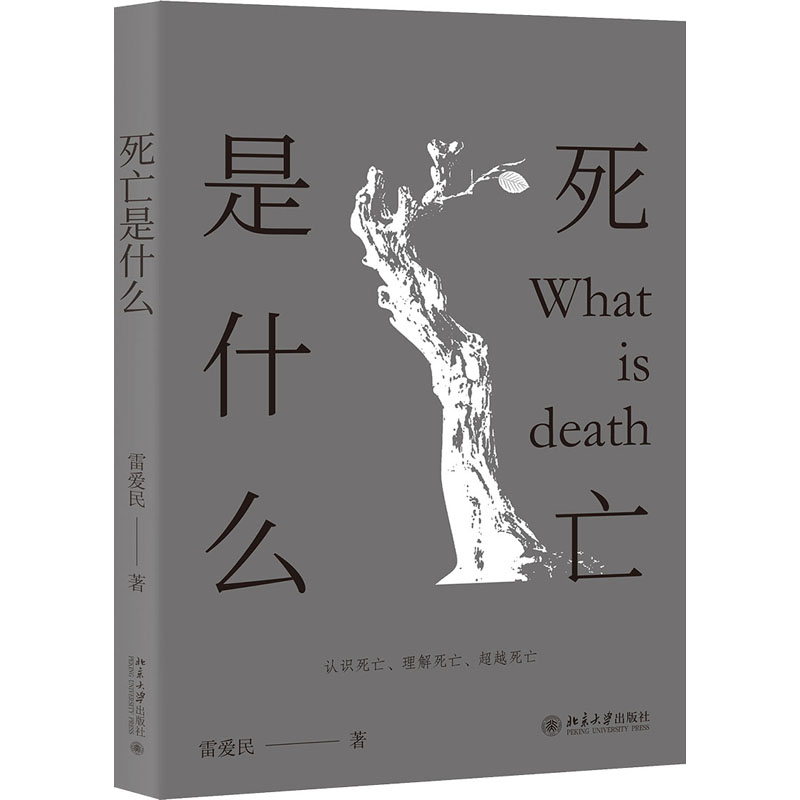 死亡是什么 北京大学出版社 雷爱民 著