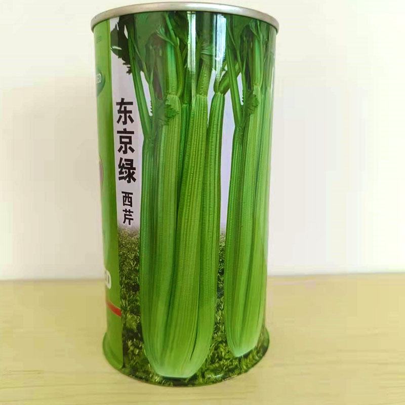 东京绿西芹种子高产抗病强早熟四季播芹菜种罐装基地大面积种植