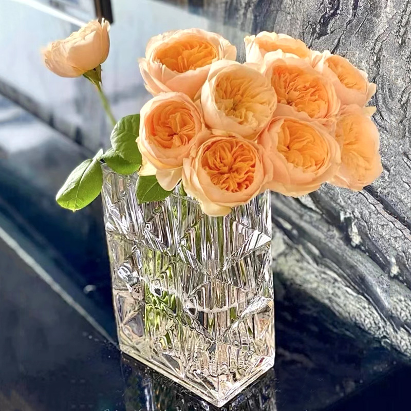 欧式璀璨水晶玻璃花瓶方形加厚摆件轻奢高端客厅水培插花简约装饰