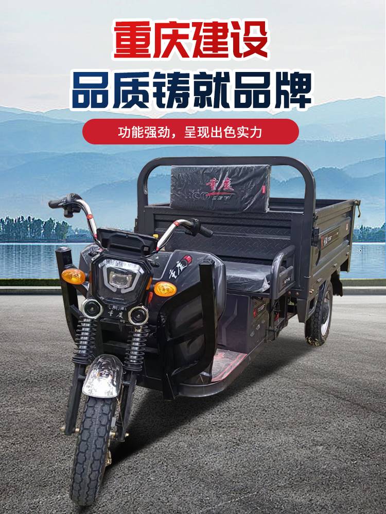新品23款重庆电动三轮车家用拉货大功率载货国标成人农用电动车电