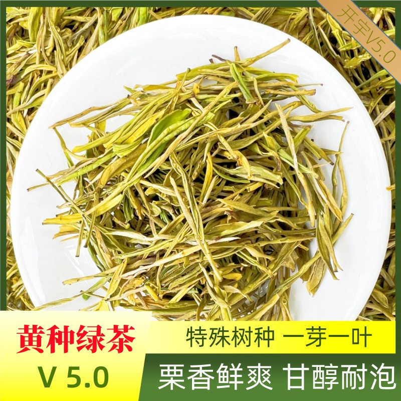 【5.0黄种绿茶】2024新茶绿茶茶叶特色黄化树种浙江工艺高端品质