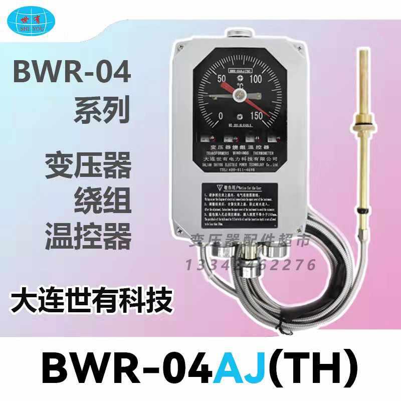 大连世有变压器绕组温控器BWR-04AJ系列温度计