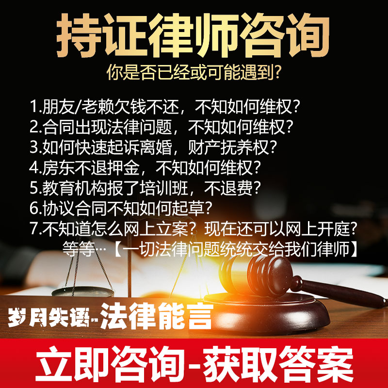 北京上海广州深圳律师代理网上立案代写起诉书答辩状法律咨询服务
