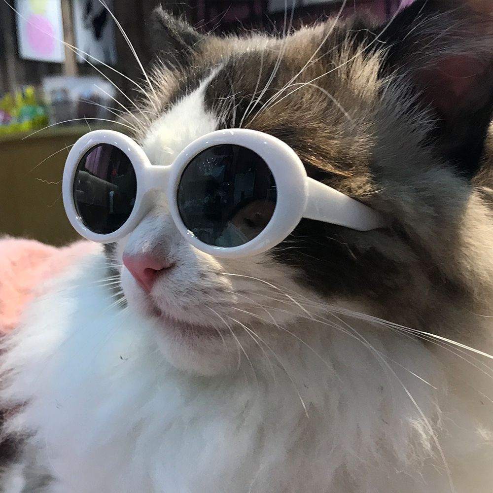 宠物猫眼镜复古耍酷狗眼镜娃娃拍照道具猫狗搞怪墨镜饰品中型法斗