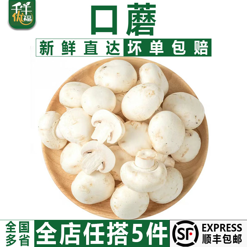 【千牛优福】口蘑500g 新鲜食用菌菇白蘑菇口菇 双孢菇煲汤蔬菜