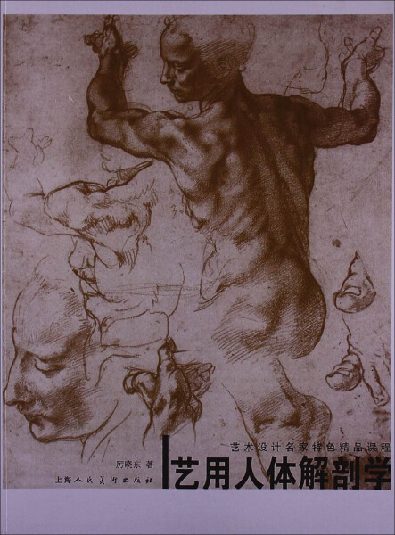正版图书 艺用人体解剖学---艺术设计名家特色精品课程 9787532281879厉晓东上海人民美术出版社