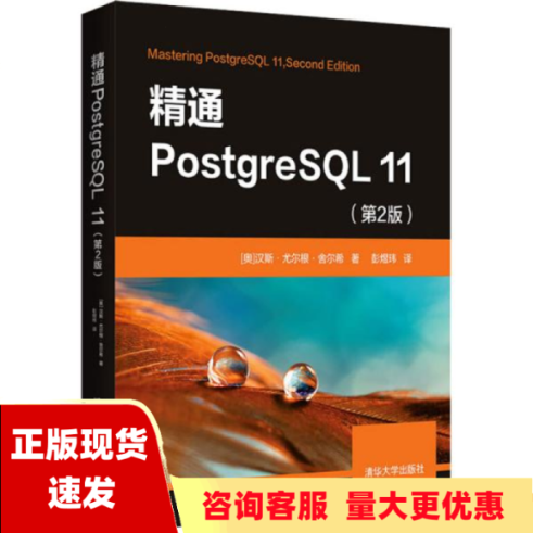 【正版书包邮】精通PostgreSQL11第2版汉斯尤尔根舍尔希彭煜玮清华大学出版社