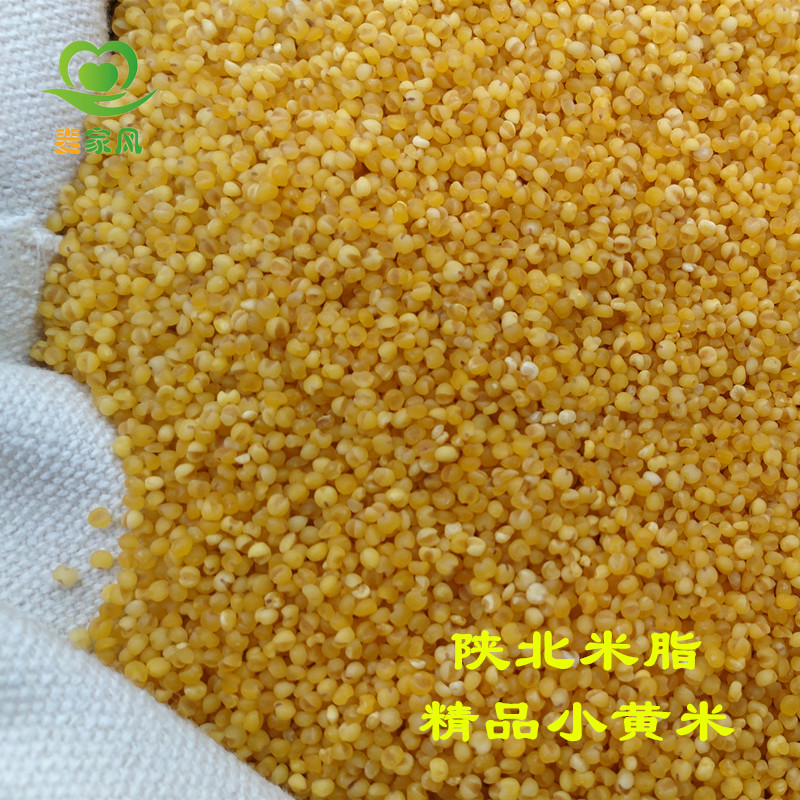 麦家风精品 陕北米脂特产 特级油小米5斤  粮食 月子米 宝宝餐