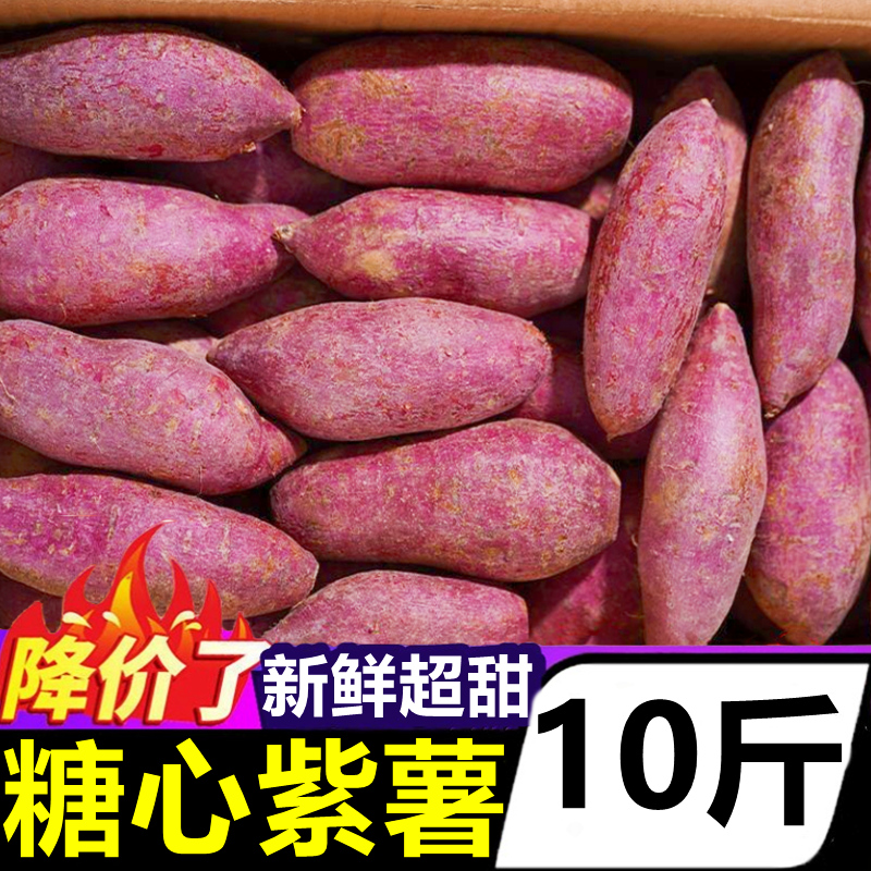 广西沙地紫薯新鲜10斤板栗红薯番薯农家自种当季蔬菜地瓜糖心蜜薯