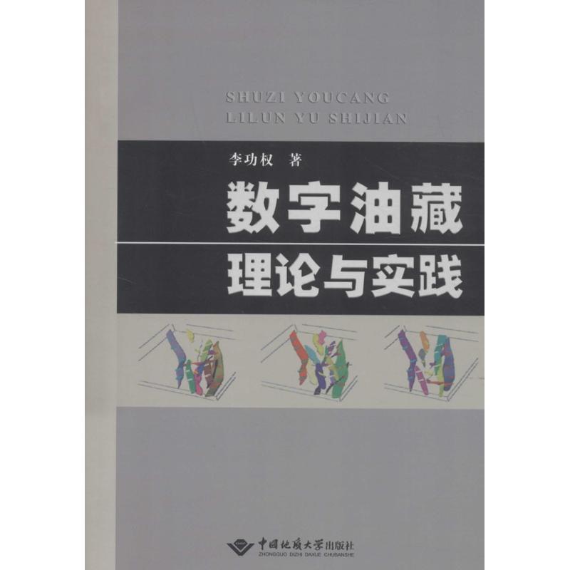 全新正版 数字油藏理论与实践 中国地质大学出版社 9787562533979