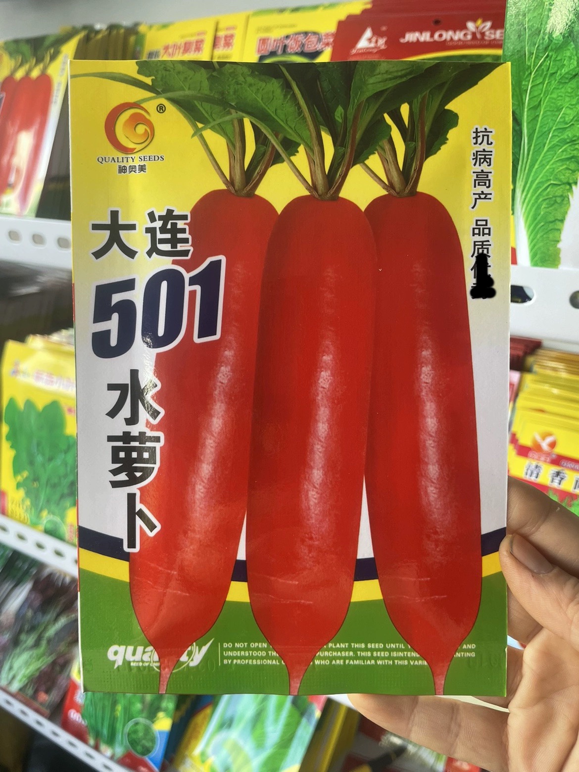 大连501水萝卜种子红水萝卜种籽春季农家菜园萝卜籽可吃菜吃萝卜