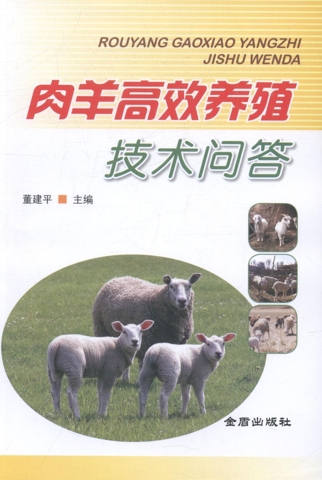 RT 正版 肉羊养殖技术问答9787518607815 金盾出版社