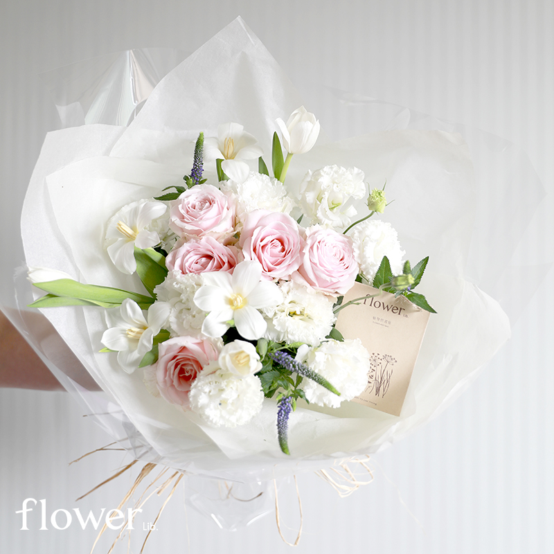 [小仙女]植物图书馆杭州同城粉玫瑰斯菊送女友表白生日纪念礼物