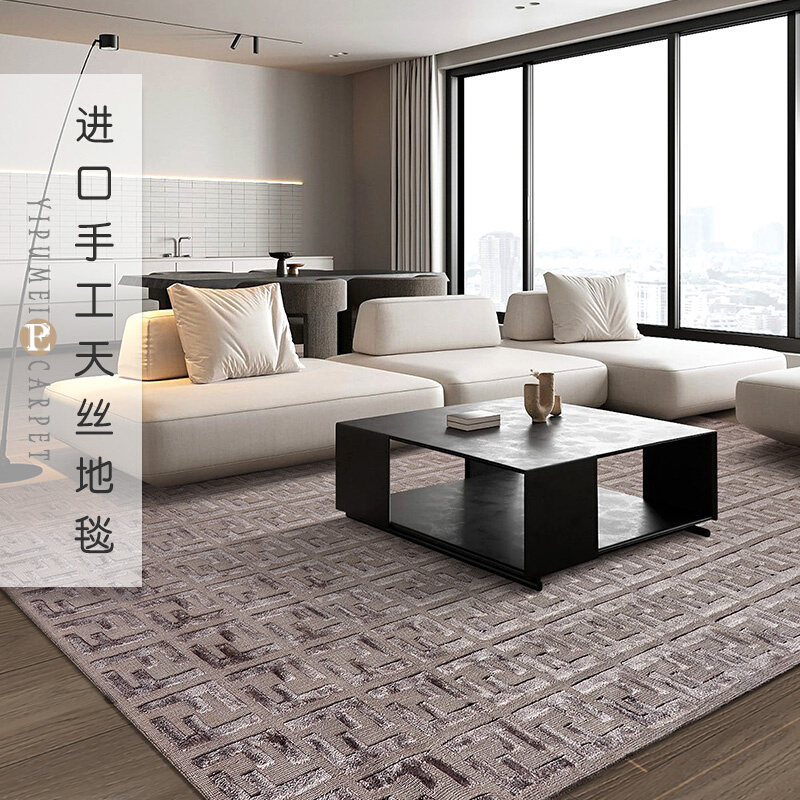 易普美家印度进口高档天丝地毯客厅卧室别墅现代极简轻奢高级纯色