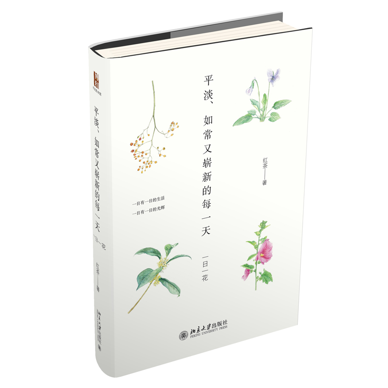 平淡、如常又崭新的每一天 红茶 著 沙发图书馆丛书 手绘的一本博物笔记 北京大学出版社