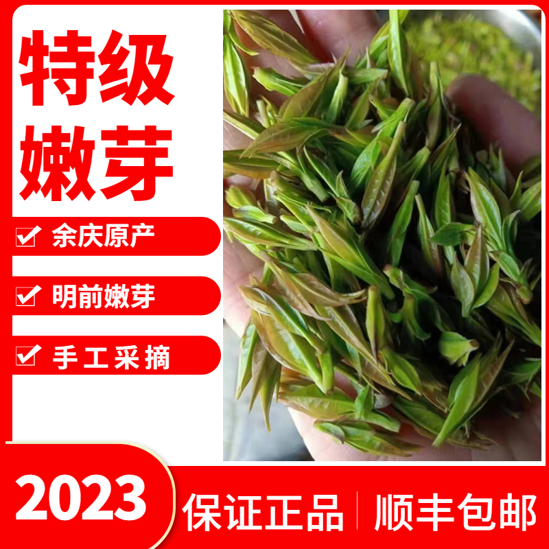 2024新茶苦丁茶特级嫩芽米芽余庆小叶贵州特产青山绿水茶手工采摘