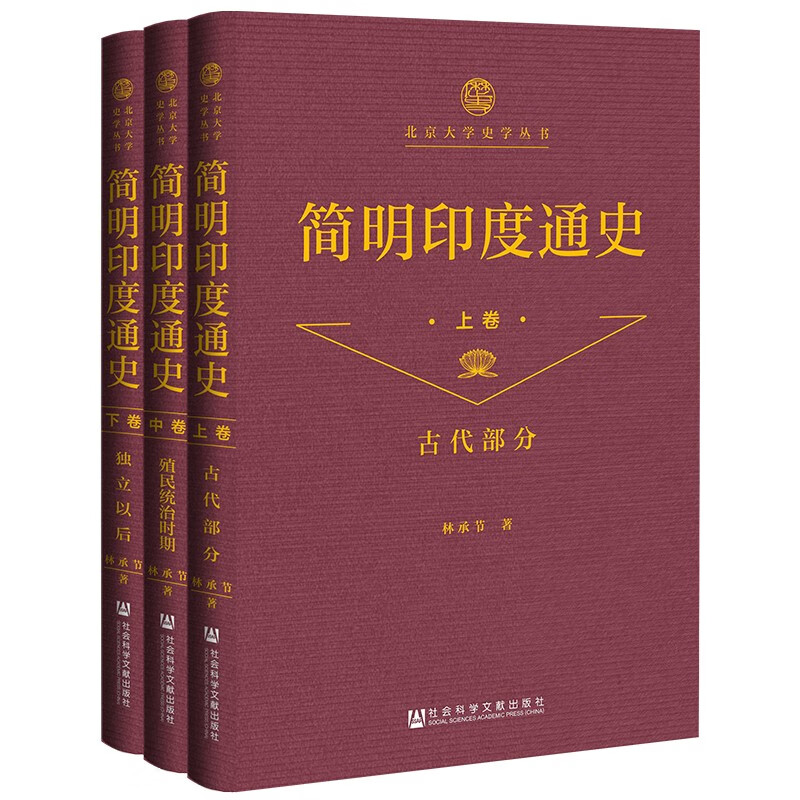 （毛边书）北京大学史学丛书：简明印度通史（全三卷） （林承节 著  社科文献）