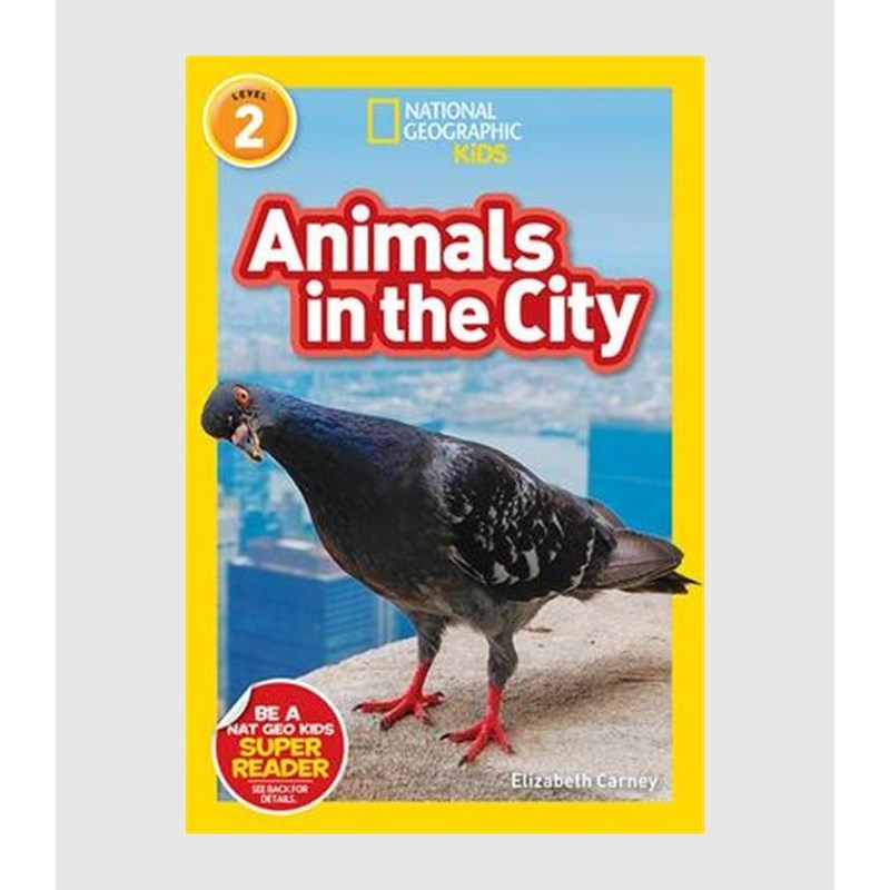 国家地理分级读物 National Geographic Readers:Animals in the City (L2) 英文原版儿童阅读【上海外文书店】