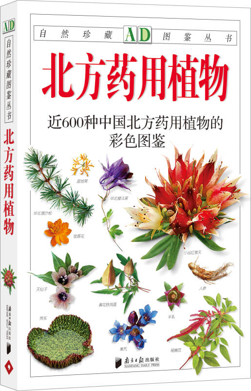 正版书籍 北方药用植物 丁学欣 著 广东南方日报出版社9787806529270
