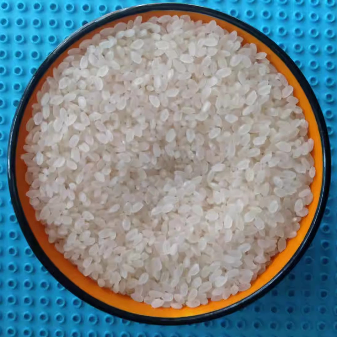 东北珍珠大米半斤农家优质无碎粳米不掺杂质250g真空小袋宿舍散装