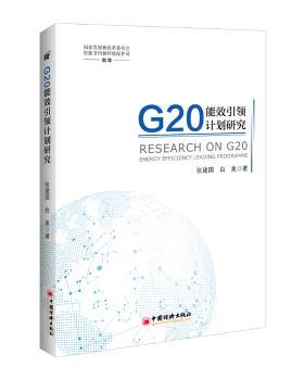 正版 G20能效计划研究 张建国，白泉著 中国经济出版社 9787513652681 可开票