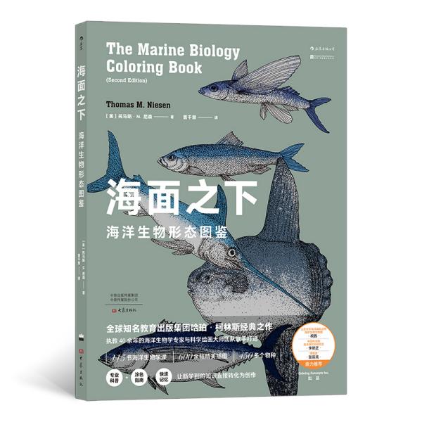 海面之下：海洋生物形态图鉴 大象出版社 新华书店正版书籍