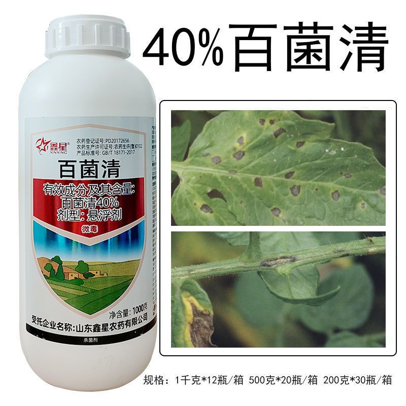 山东鑫星 40%百菌清 悬浮剂 番茄早疫病  农药杀菌剂多种规格