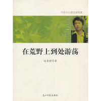 【正版包邮】 中国小小说名家档案·在荒野上到处游荡 连俊超 著 光明日报出版社